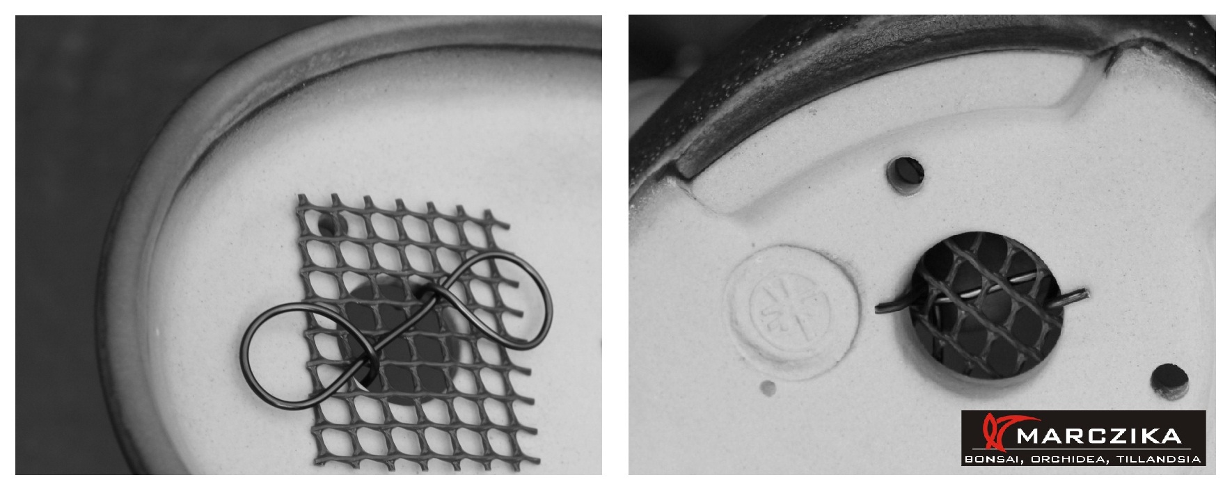 bonsai tál felkészítése, bonsai átültetése, bonsai drót, bonsai ültető közeget megtartó háló Bonsai tál felkészítése, bonsai átültetésére, bonsai dróttal a bonsai tálba rögzített, bonsai ültető közeget megtartó háló.